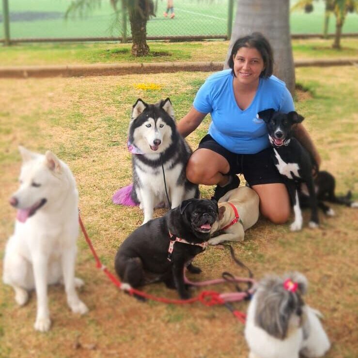 Adestrador de cães
