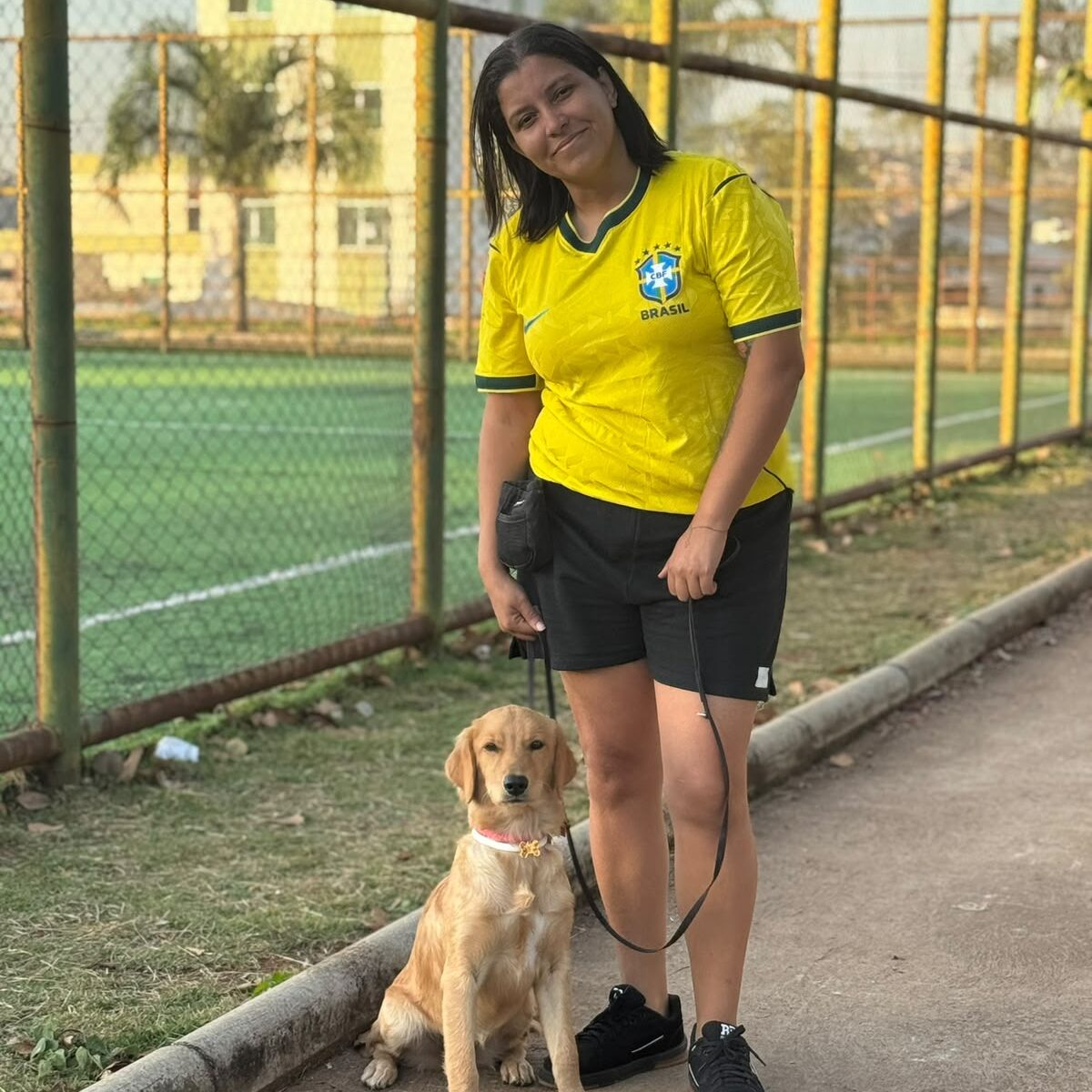 Adestramento de cães