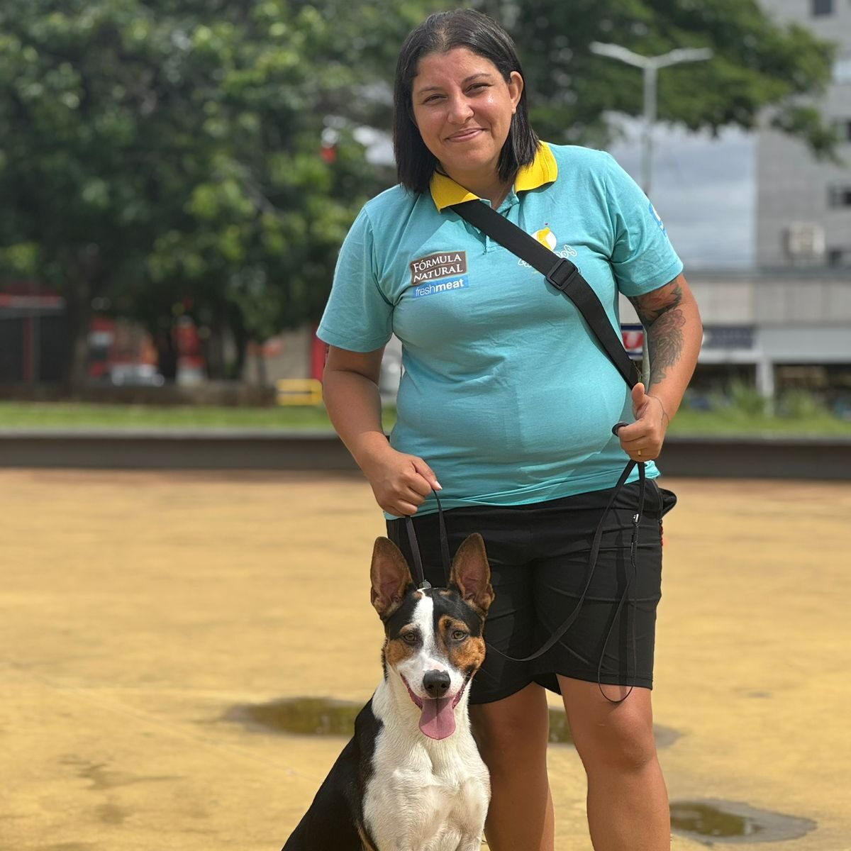 Adestramento de cães (2)