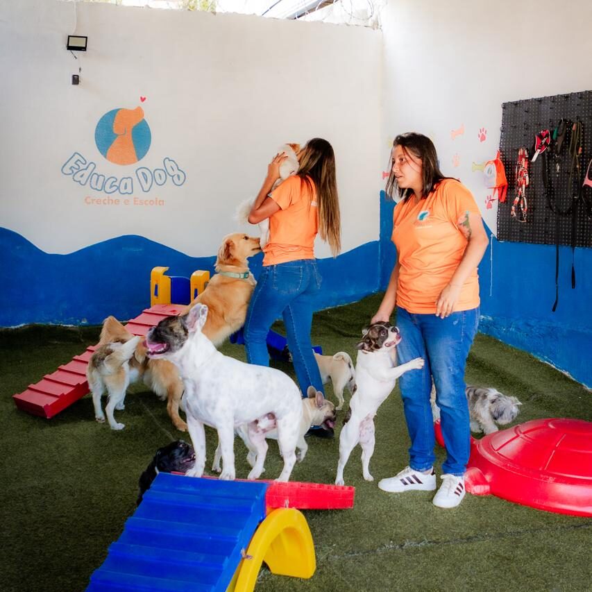 Creche e hotel para cães (4)