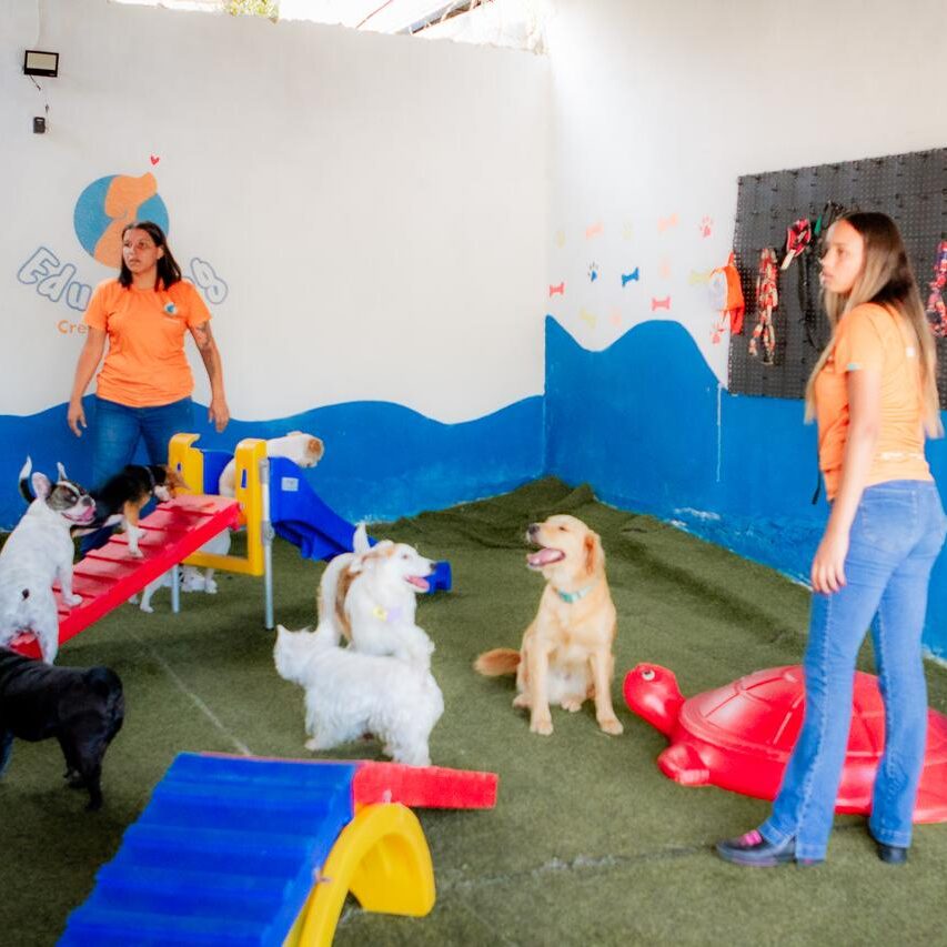 creche para cachorro (2)