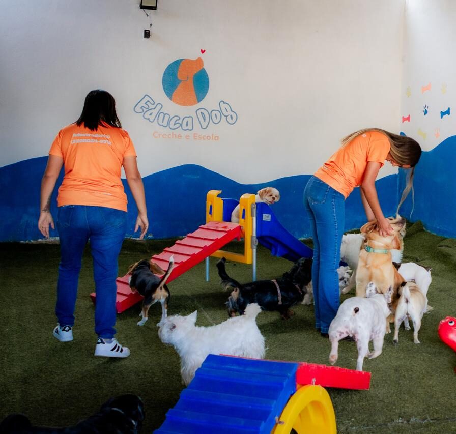 creche para cachorro (3)
